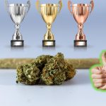 attachment-cannabis-cup-winners