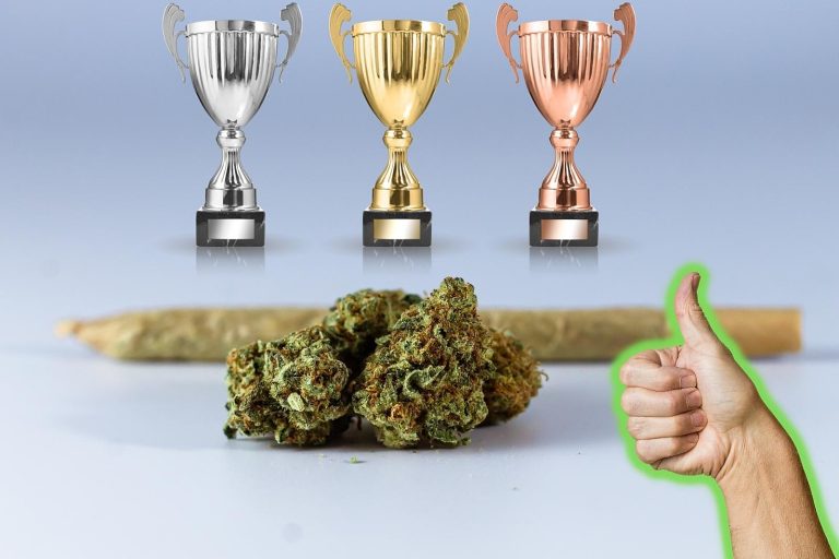 attachment-cannabis-cup-winners